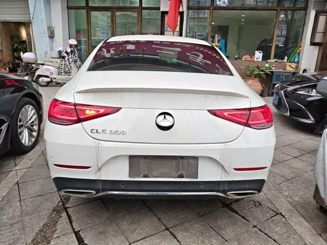 Mercedes-Benz CLS-Class — Фото автомобиля 21
