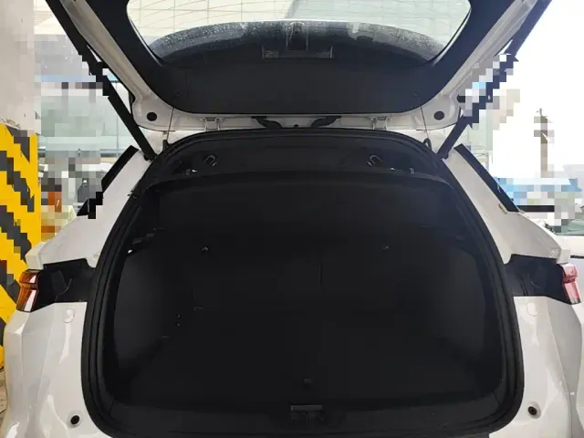BYD Song Pro — Фото автомобиля 18