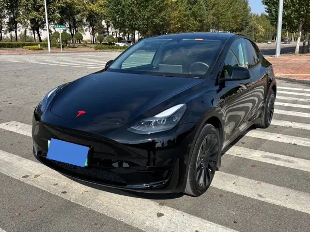 Tesla Model Y — Фото автомобиля 3