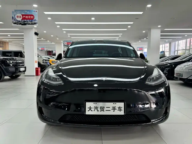 Tesla Model Y — Фото автомобиля 2