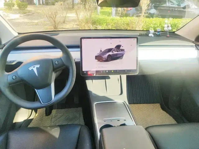 Tesla Model Y — Фото автомобиля 12