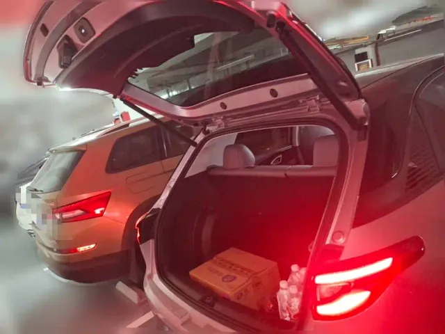 Geely Starry Wish — Фото автомобиля 15