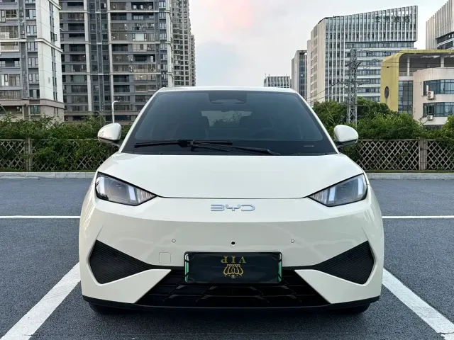 BYD Seagull — Фото автомобиля 2