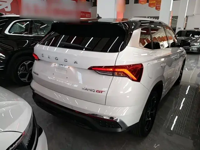 Skoda Kamiq — Фото автомобиля 6