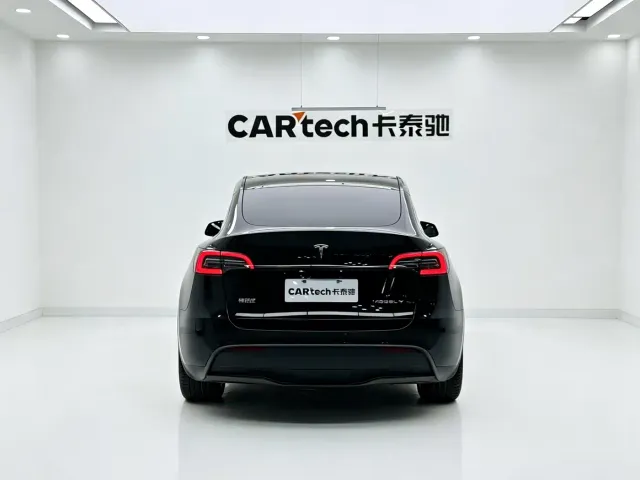 Tesla Model Y — Фото автомобиля 7