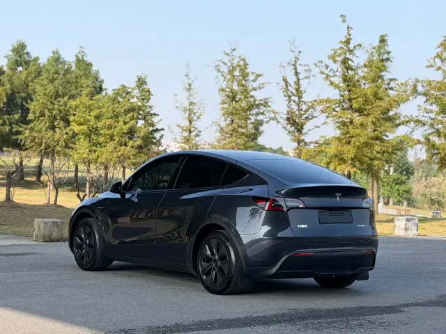 Tesla Model Y — Фото автомобиля 17