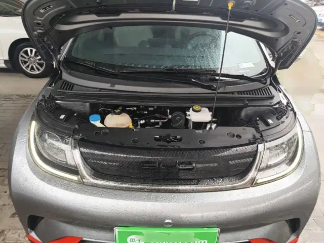 BYD Dolphin — Фото автомобиля 19