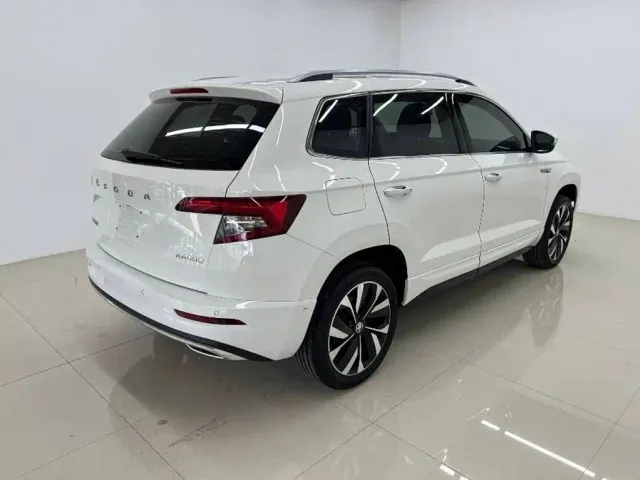 Skoda Karoq — Фото автомобиля 4