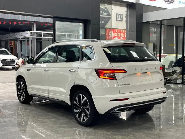 Skoda Karoq — Фото автомобиля 15