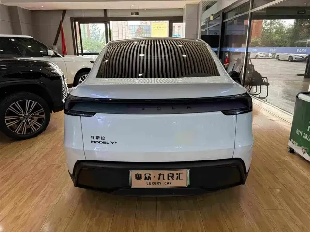 Tesla Model Y — Фото автомобиля 12