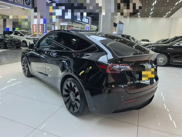 Tesla Model Y — Фото автомобиля 19