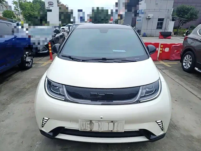 BYD Dolphin — Фото автомобиля 2