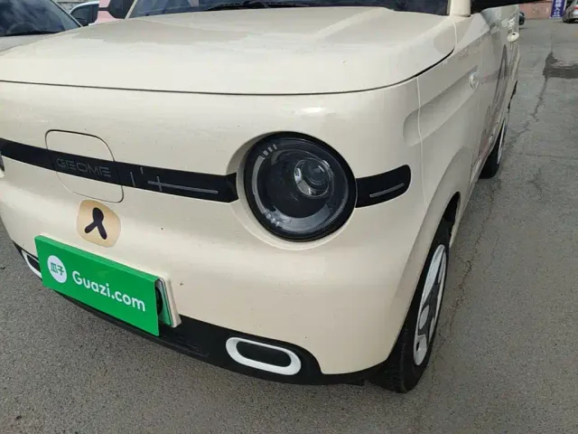 Geely Panda — Фото автомобиля 23