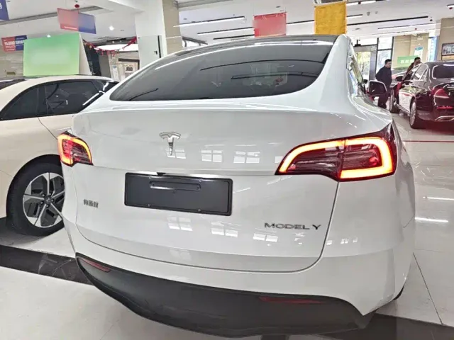Tesla Model Y — Фото автомобиля 5
