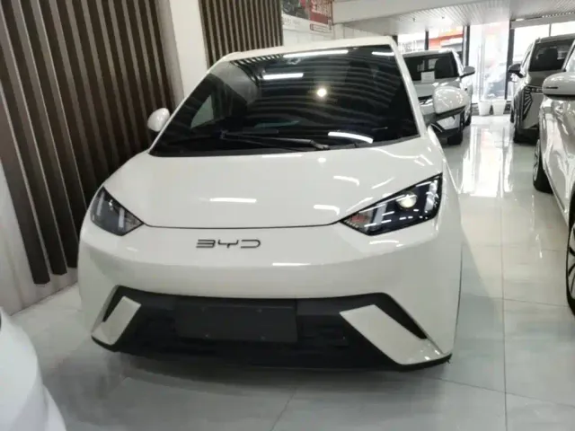 BYD Seagull — Фото автомобиля 2