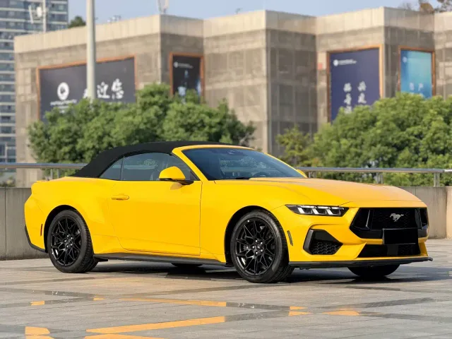 Ford Mustang — Фото автомобиля 14