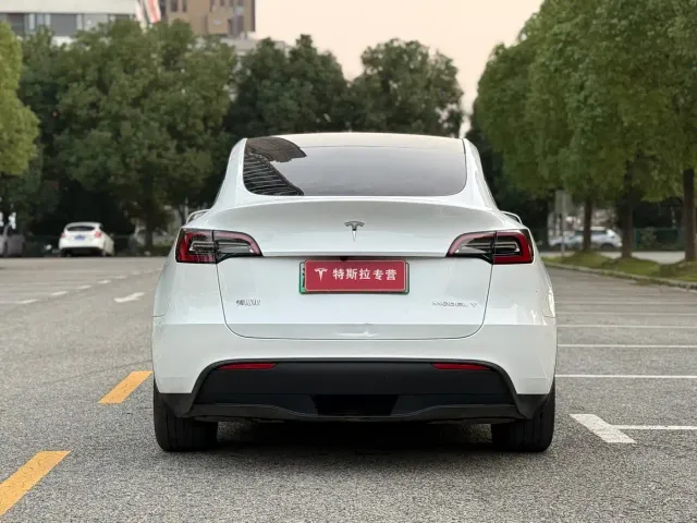 Tesla Model Y — Фото автомобиля 5