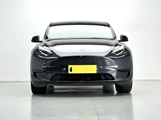 Tesla Model Y — Фото автомобиля 2