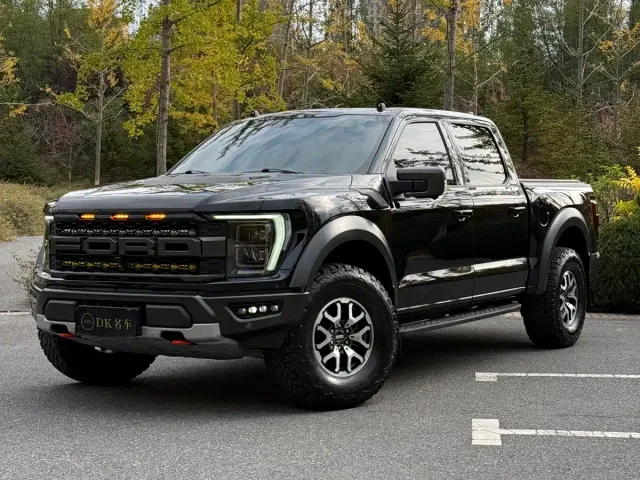 Ford F-150 Raptor — Фото автомобиля 2