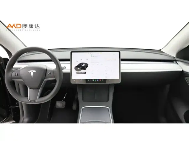 Tesla Model Y — Фото автомобиля 5