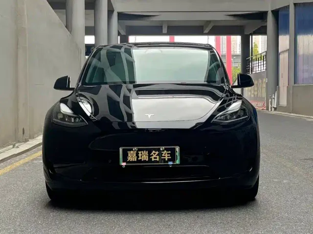 Tesla Model Y — Фото автомобиля 2