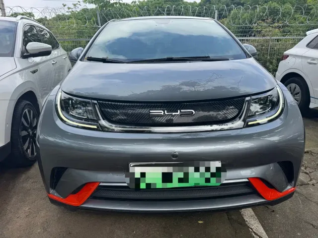 BYD Dolphin — Фото автомобиля 2
