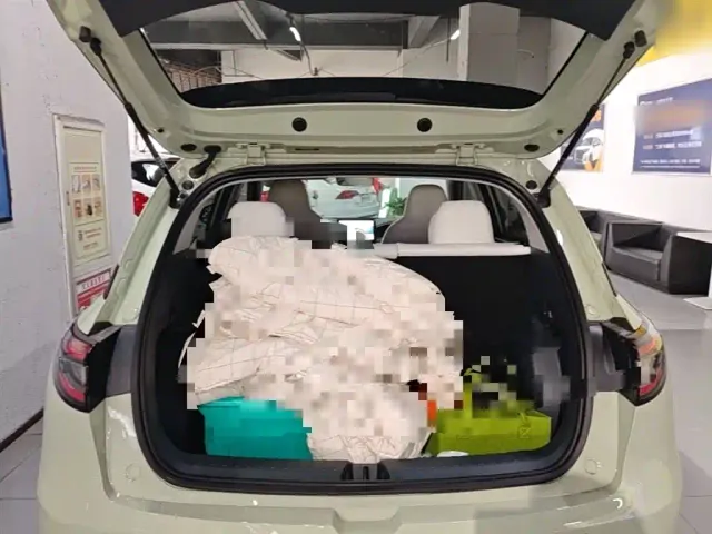 Geely Starry Wish — Фото автомобиля 18