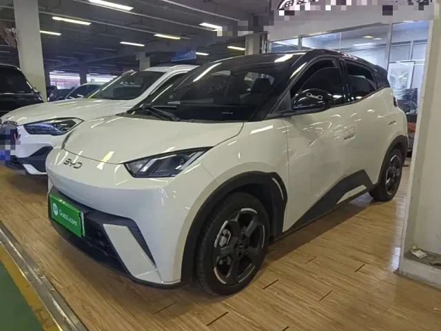 Фотография автомобиля — BYD Seagull
