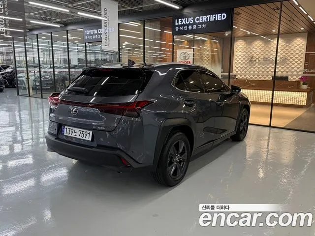 Lexus UX UX300h — Фото автомобиля 2