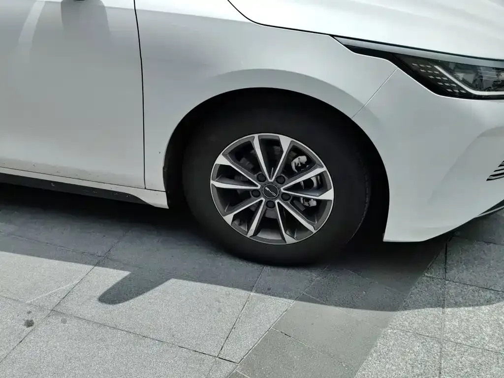 BYD Destroyer 05 2024 Glory Edition DM-i 55KM Luxury — Фото автомобиля 8