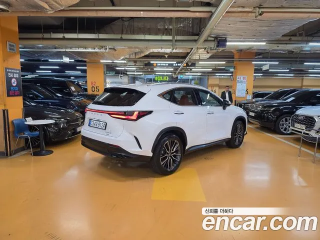 Lexus NX 2nd Gen — Фото автомобиля 2