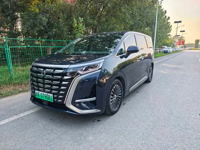 Фотография автомобиля — Denza D9