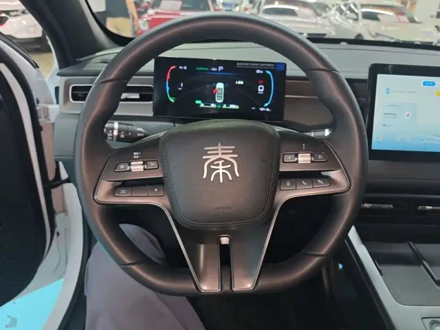 BYD Qin PLUS — Фото автомобиля 10