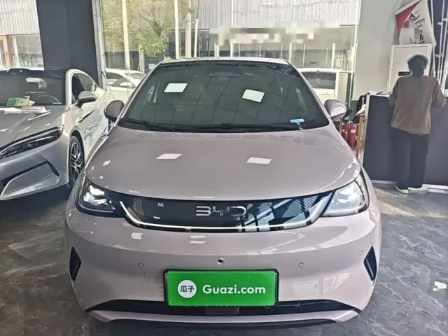 BYD Dolphin — Фото автомобиля 2