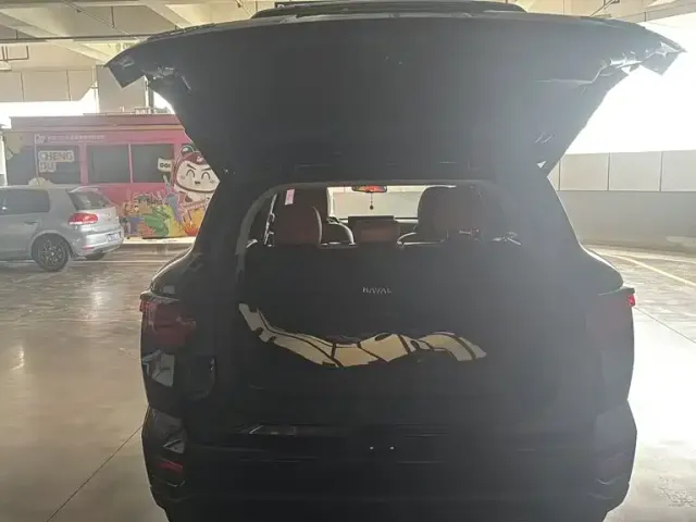 Haval Big Dog — Фото автомобиля 9