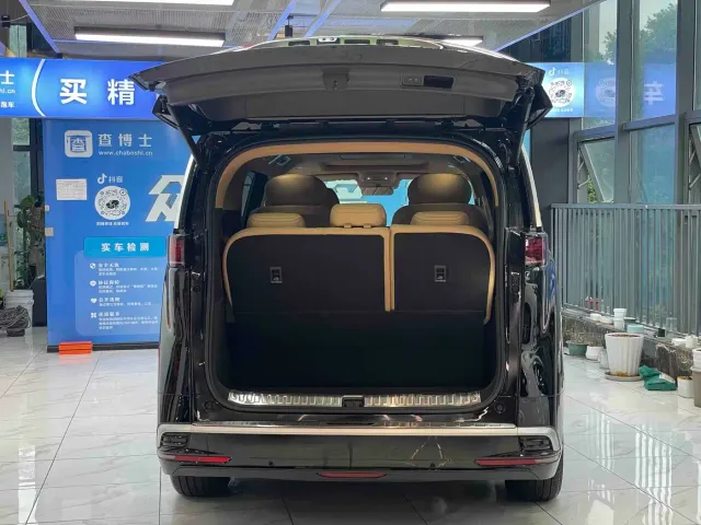 Denza D9 — Фото автомобиля 16