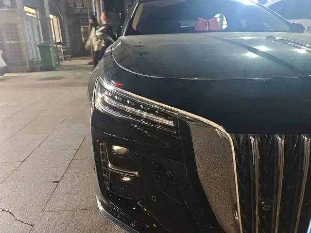 Hongqi H5 — Фото автомобиля 7