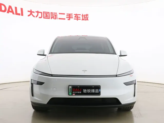 Tesla Model Y — Фото автомобиля 2