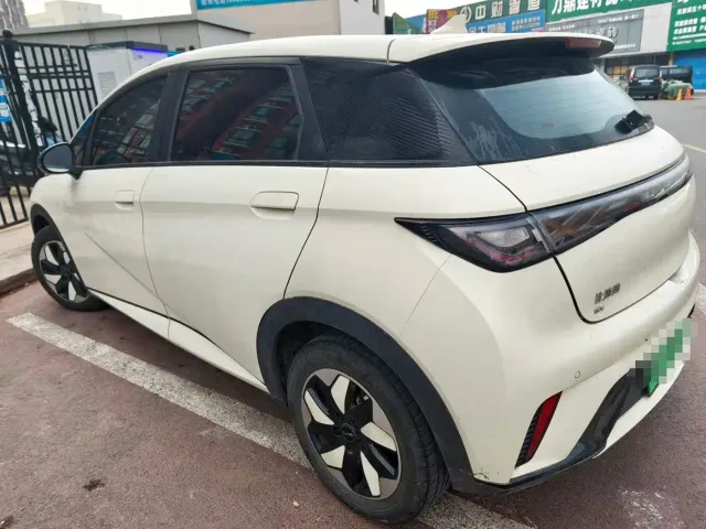 BYD Dolphin — Фото автомобиля 5