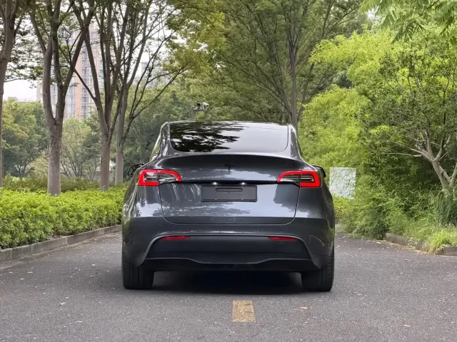 Tesla Model Y — Фото автомобиля 6