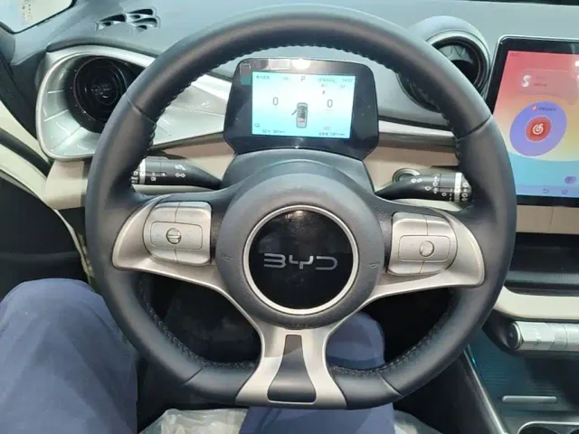 BYD Dolphin — Фото автомобиля 10