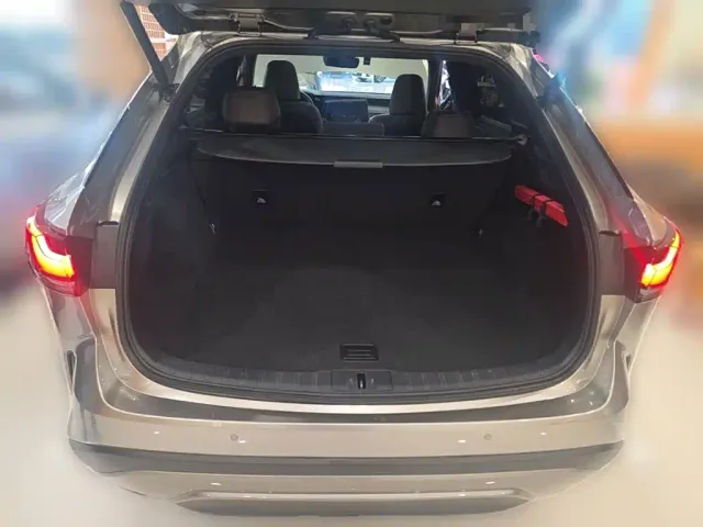 Lexus RX — Фото автомобиля 23