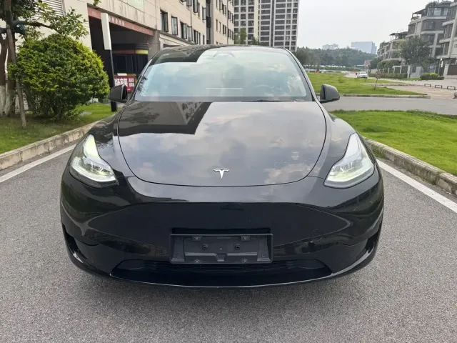 Tesla Model Y — Фото автомобиля 2