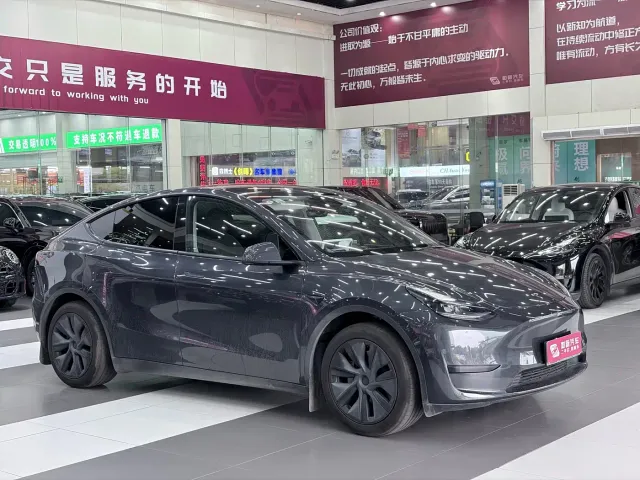 Tesla Model Y — Фото автомобиля 2