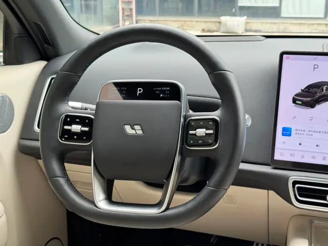 Li Auto L9 — Фото автомобиля 14