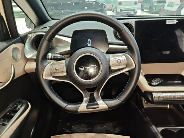 BYD Dolphin — Фото автомобиля 6