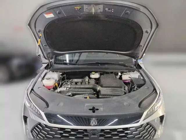BYD Qin PLUS — Фото автомобиля 3