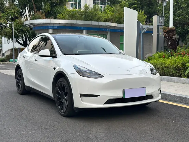 Tesla Model Y — Фото автомобиля 3