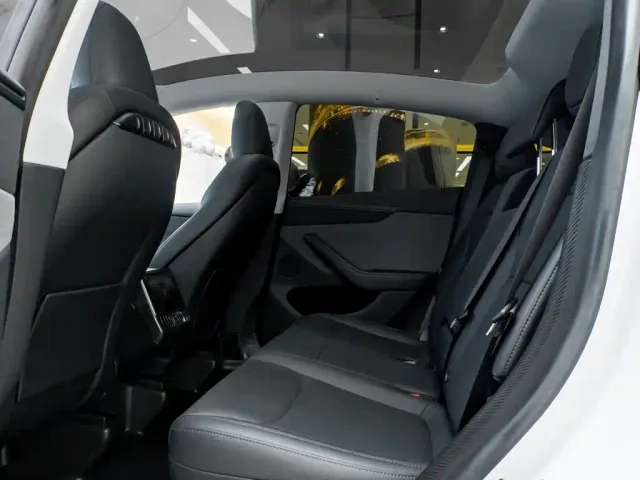 Tesla Model Y — Фото автомобиля 28