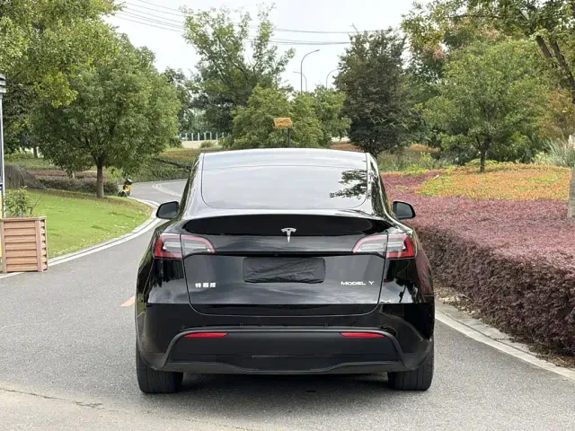 Tesla Model Y — Фото автомобиля 4